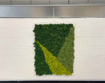 Moss frame. Wall art. Greenery. Wall decor.