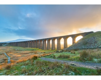 Manches Et Capes En Coton Ignifugé Avancé - Taille Grand, Noir, Norme BSX, Lot De 2