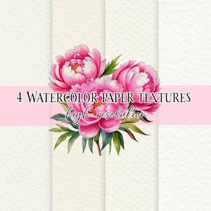 Puede incluir: Cuatro texturas de papel acuarela de alta resolución con una ilustración de una flor de peonía rosa.