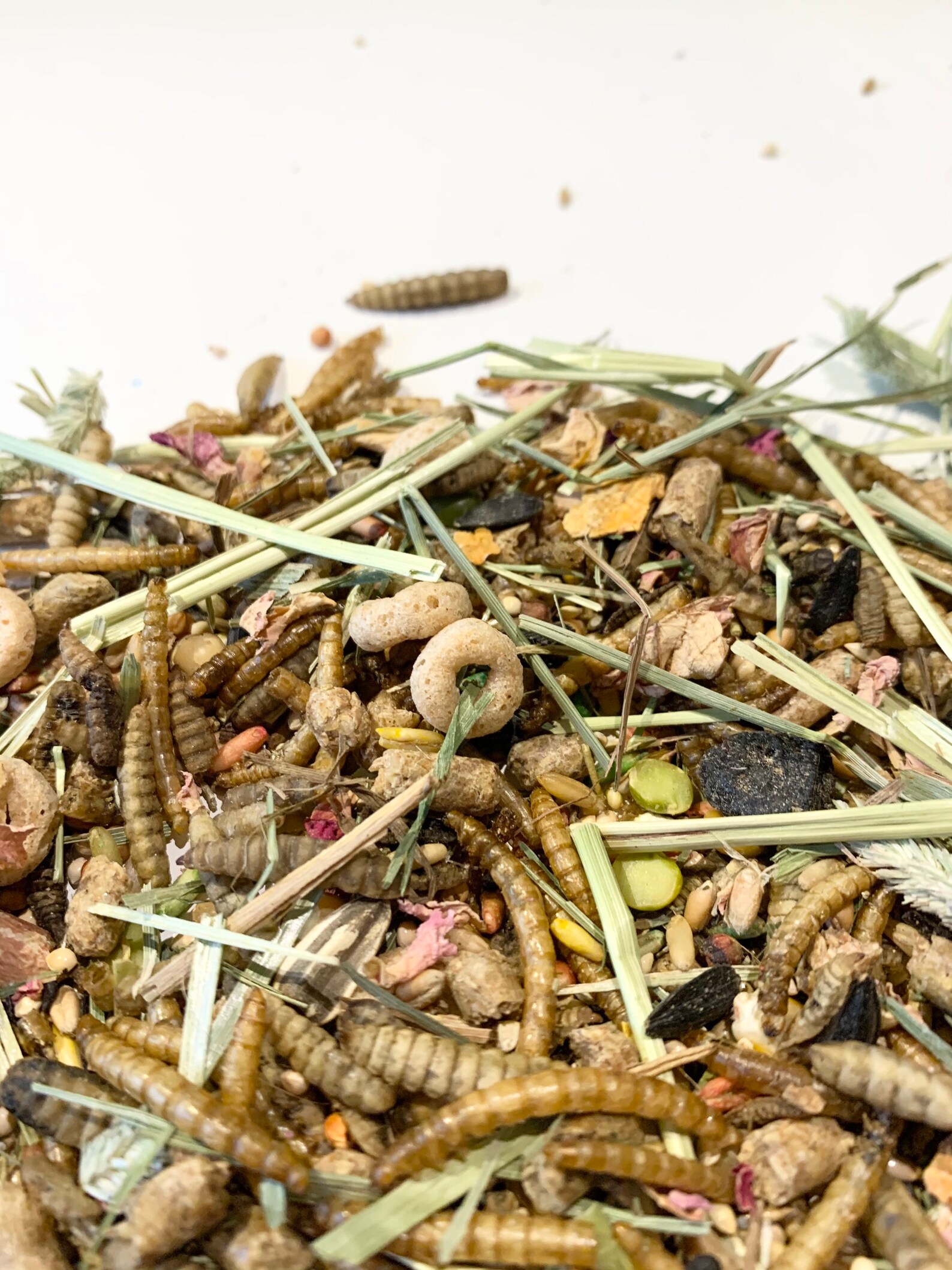 40 INGREDIENTS Heavenly good gerbil hamster food herbs and Etsy