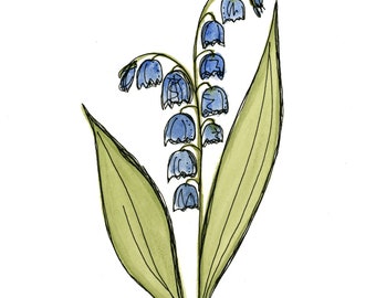 Lilly of the Valley