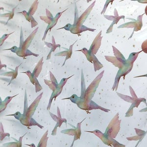 May include: A clear sheet featuring a repeating pattern of iridescent hummingbirds in shades of pink, blue, and yellow. The birds are depicted in various flight positions, interspersed with small gold star accents across the transparent surface.