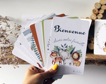Cartes étapes Savane