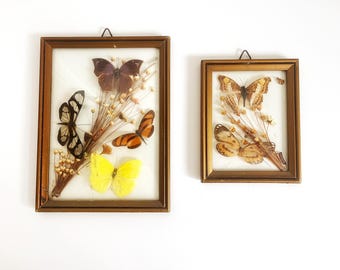Framed Dried Flower and Butterfly Art Set of 2 Mid Century Art