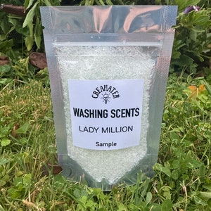 Lady Million 50g Sample - Washing Scent