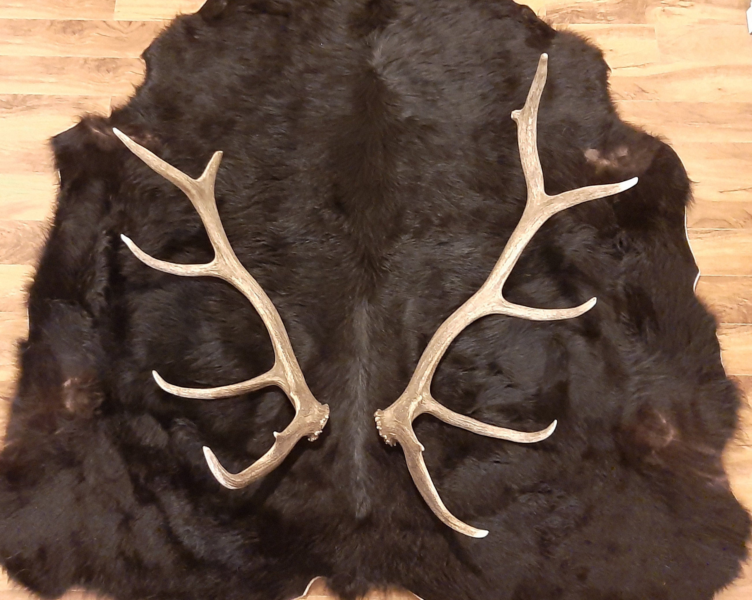deer antlers vs elk antlers for dogs deer antlers vs elk antlers for dogs