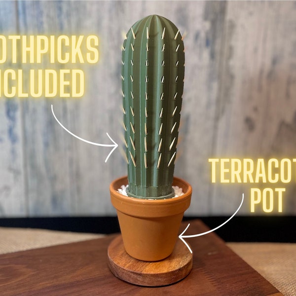 3D Printed Cactus Toothpick Holder in Terracotta Pot Desert Vibes Home Decor Kitchen Decor Tabletop Cactus Lover Gift