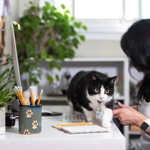 May include: A black and white cat with a paw print collar sits on a white desk with a pencil holder, a notebook, and a computer keyboard.