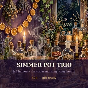 Simmer Pot Kit Bundle of 3 | Fall, Harvest and Cozy Home Blends | Stovetop Potpourri Gift Set