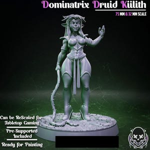 Dominatrix Druid Kilith Pin Up Miniature  | Jigglystix
