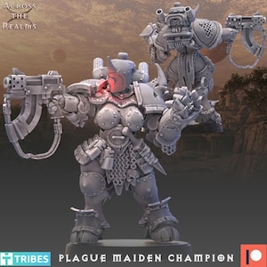 Könnte beinhalten: Zwei graue Miniaturfiguren mit der Bezeichnung Plague Maiden Champion, die gepanzerte Krieger mit gehörnten Helmen, Brustpanzern und Kettenhemden darstellen. Jede Figur hält eine große Schusswaffe mit einem gebogenen Magazin in der Hand.