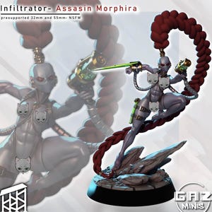May include: A gray Infiltrator Assassin Morphira figurine, posed dynamically with a weapon and a green energy blade. The figure has a red braided hairpiece and is mounted on a rocky base. The text "GAZ MINIS" is visible.
