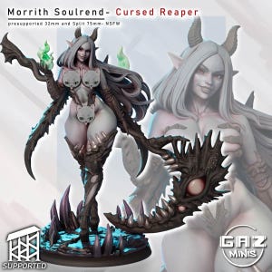 May include: A 3D-printed figure of a female demon, with a scythe. The figure has long white hair, horns, and bat-like wings. The base is dark with purple spikes. The image includes the text "Morrith Soulrend - Cursed Reaper".