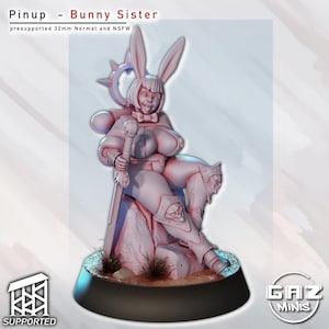 May include: A pink figurine of a woman with bunny ears, seated and holding a staff. The figurine is wearing armor and a cape. The text "Pinup - Bunny Sister" is at the top, with "presupported 32mm Normal and NSFW" below it.