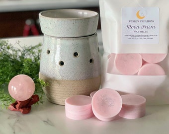 Moon Prism Soy Wax Melts: Floral Scented Anime Gift Set