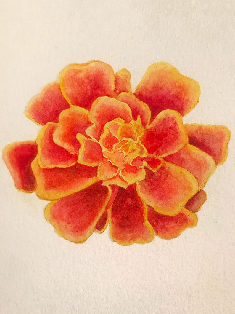 Floriography Floral Watercolor