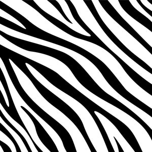 Zebra print, Zebra spots, Zebra print patter
