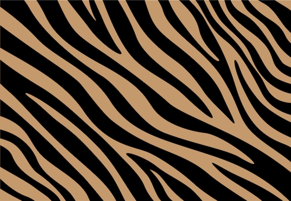 Zebra Print, Zebra Spots, Zebra Print Patter 