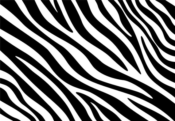 Zebra Print, Zebra Spots, Zebra Print Patter -  Canada