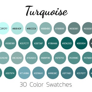 May include: A colour palette chart titled Turquoise featuring 30 circular swatches in various shades of blue and green. Each circle contains a unique hexadecimal colour code, ranging from light cyan to dark teal, organised in four rows of seven or eight.