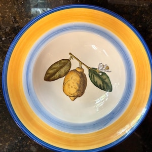 May include: A round ceramic serving bowl with a lemon design. The bowl features a white interior with a lemon branch illustration. The rim has concentric bands of blue, yellow, and blue. The bowl is suitable for serving salads or pasta.