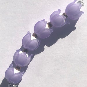 Crocus Snowdrops