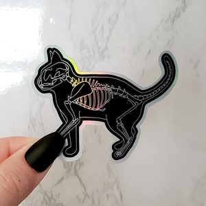 Holographic Cat Skeleton Sticker, Skeleton Sticker, Skull Sticker, Cat Sticker, Cat Skeleton, Black Cat Sticker, Laptop Sticker, Sticker