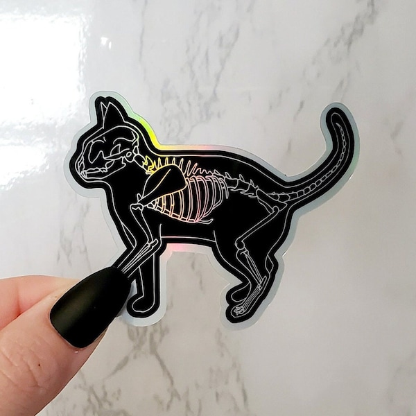 Holographic Cat Skeleton Sticker, Skeleton Sticker, Skull Sticker, Cat Sticker, Cat Skeleton, Black Cat Sticker, Laptop Sticker, Sticker