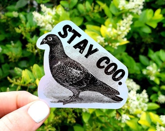 Holographic Stay Coo Pigeon Sticker, Pigeon Sticker, Bird Sticker, Funny Sticker, Animal Sticker, Funny, Laptop Sticker