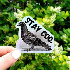 May include: A white sticker with a black and white illustration of a pigeon and the text "STAY COO."