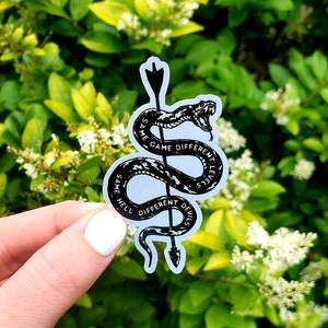 May include: Black and white sticker of a snake wrapped around an arrow with the text "Same Hell Different Devils" and "Same Game Different Level" on the snake.