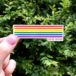 Love Wins Pride Sticker, LGBT Sticker, Pride Sticker, Love Sticker, Rainbow Sticker, Stickers, Equality Sticker, Pride Month
