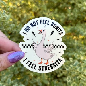 I Feel Stressita Sticker, Stress Sticker, Funny Sticker, Sarcastic Sticker, Water Bottle Sticker, Laptop Sticker, Mental Health, Decal