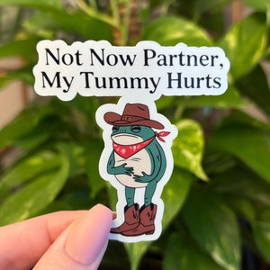 Funny Tummy Ache Sticker, Frog Sticker, Tummy Ache Sticker, Funny Sticker, IBS Sticker, Water Bottle Sticker, Laptop Sticker, Decals