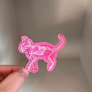 May include: A pink holographic sticker of a cat skeleton. The sticker is cut out in the shape of a cat.