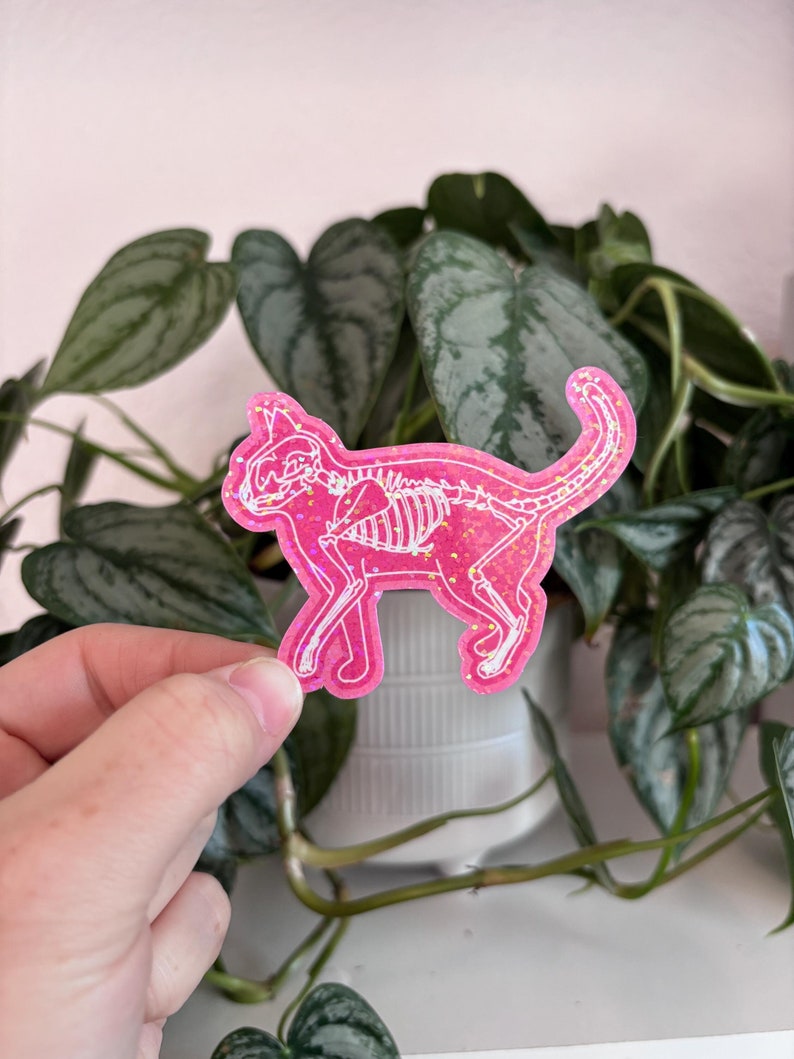 May include: Pink glitter cat skeleton sticker. The sticker is transparent and shows the outline of a cat skeleton.