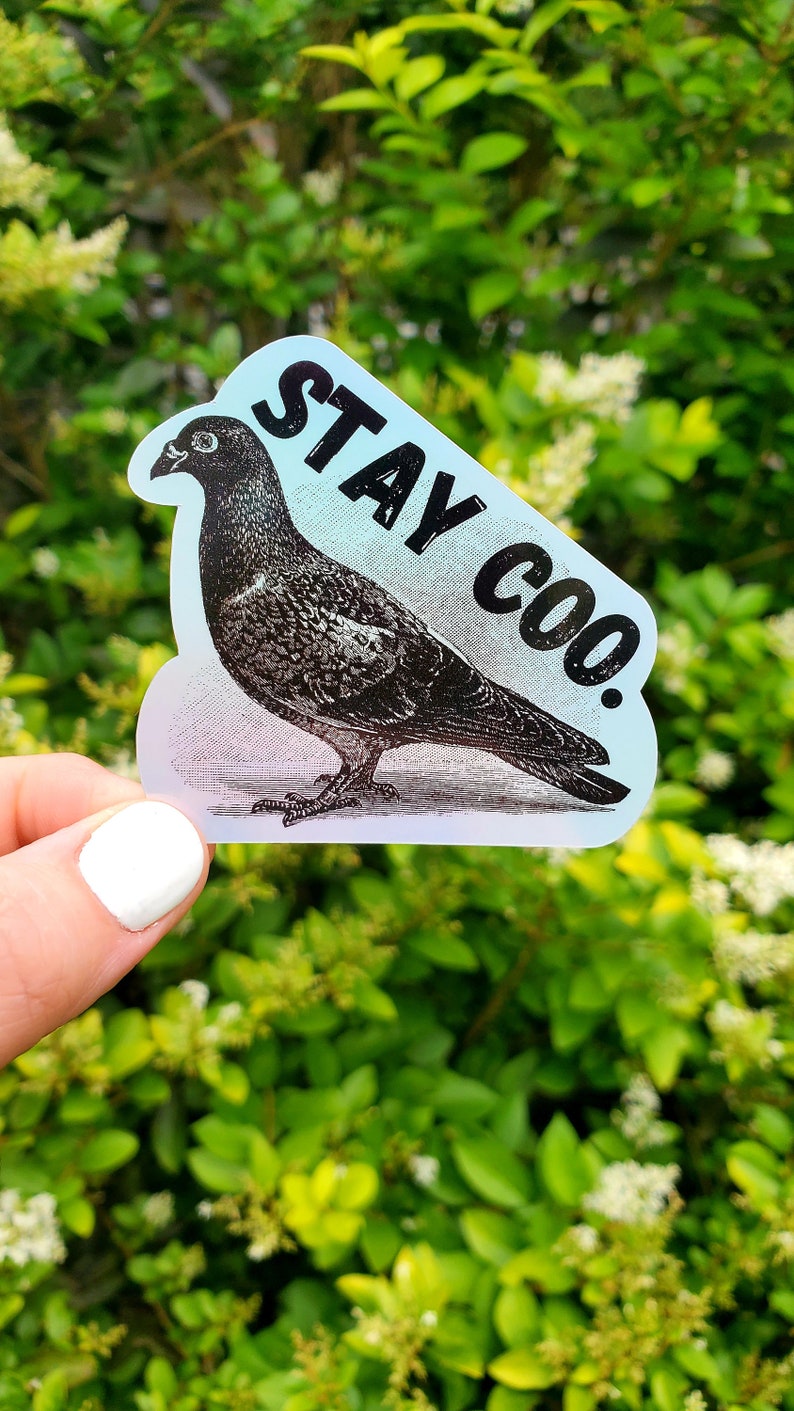May include: A holographic sticker with a black and white illustration of a pigeon and the text "STAY COO."