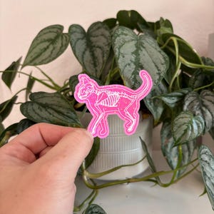 May include: Pink glitter sticker of a cat skeleton. The sticker is being held in front of a potted plant.