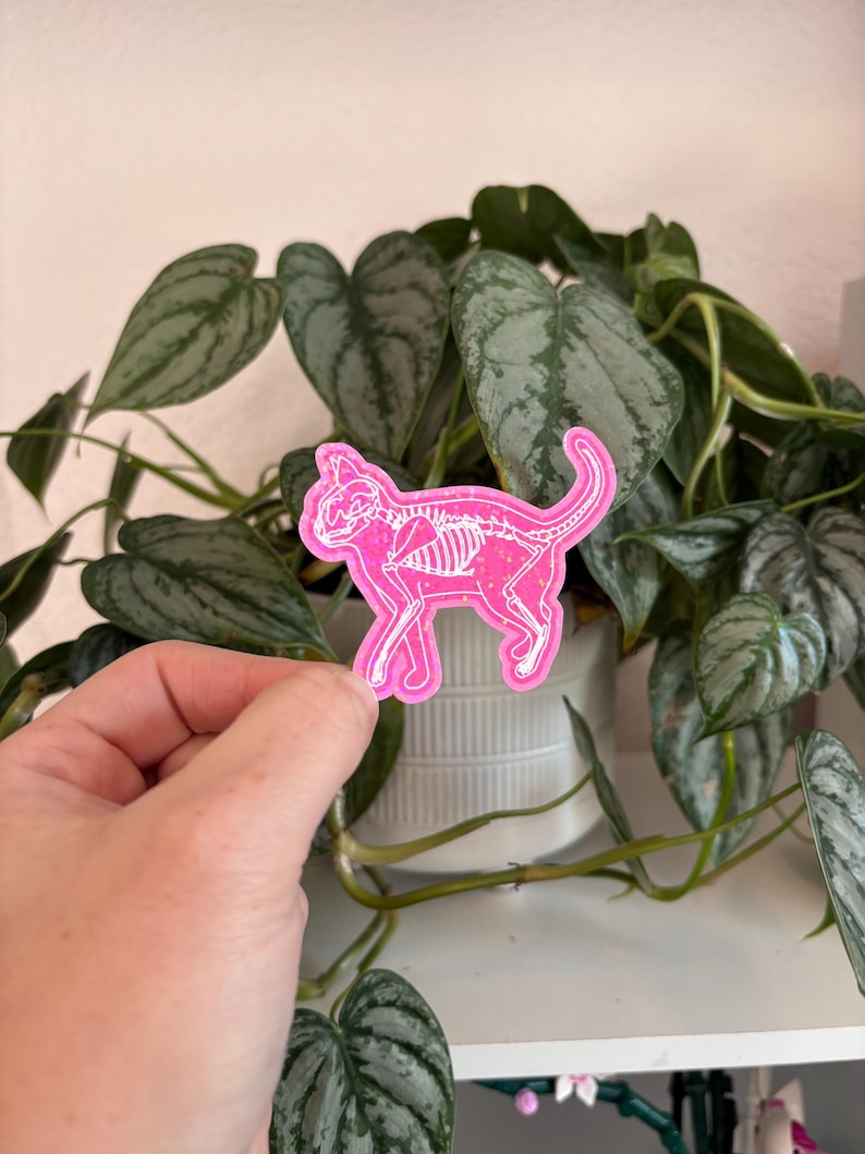 May include: Pink glitter sticker of a cat skeleton. The sticker is being held in front of a potted plant.