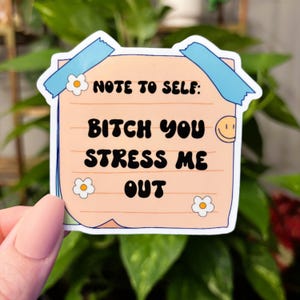 Note to Self You Stress Me Out Sticker, Funny Sticker, Mental Health Sticker, Stressed Out Sticker, Water Bottle Sticker, Laptop Sticker