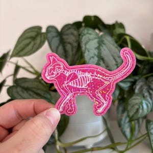 May include: Pink glitter cat skeleton sticker. The sticker is clear with a pink glitter background and a white outline of a cat skeleton.