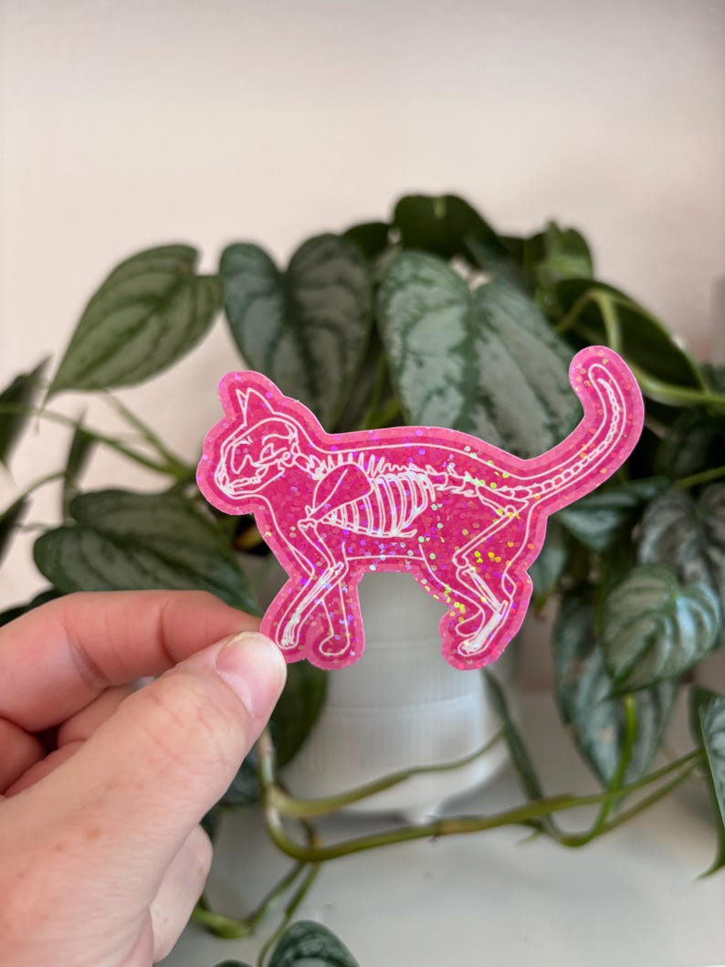 May include: Pink glitter cat skeleton sticker. The sticker is clear with a pink glitter background and a white outline of a cat skeleton.