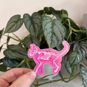 May include: Pink glitter cat skeleton sticker with a white outline. The sticker is being held in front of a potted plant with green leaves.
