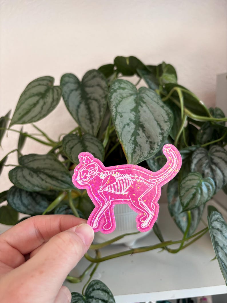 May include: Pink glitter cat skeleton sticker with a white outline. The sticker is being held in front of a potted plant with green leaves.
