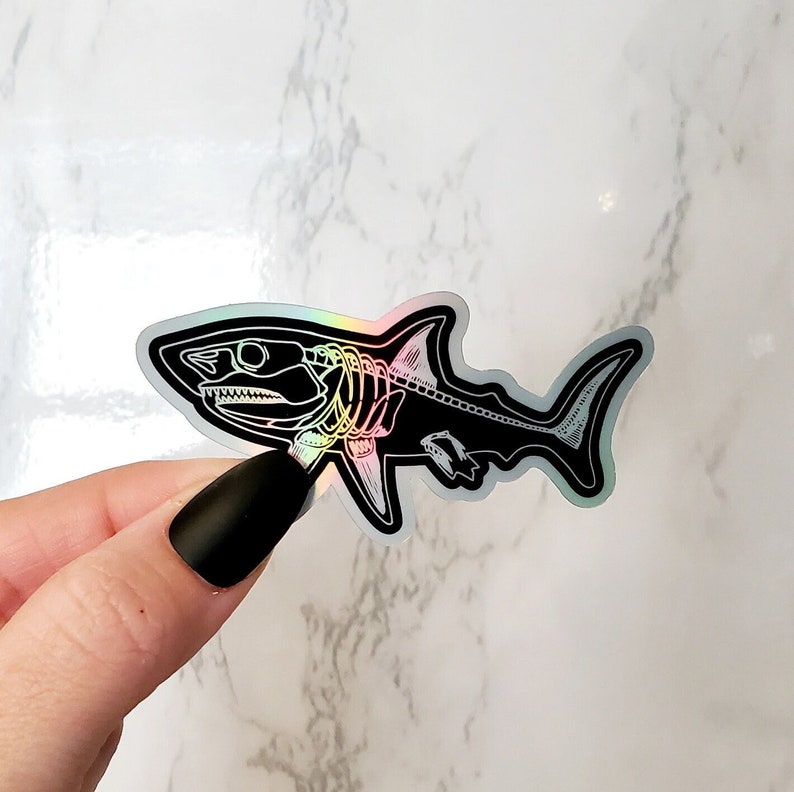 May include: A holographic sticker of a shark skeleton with a rainbow iridescent finish.