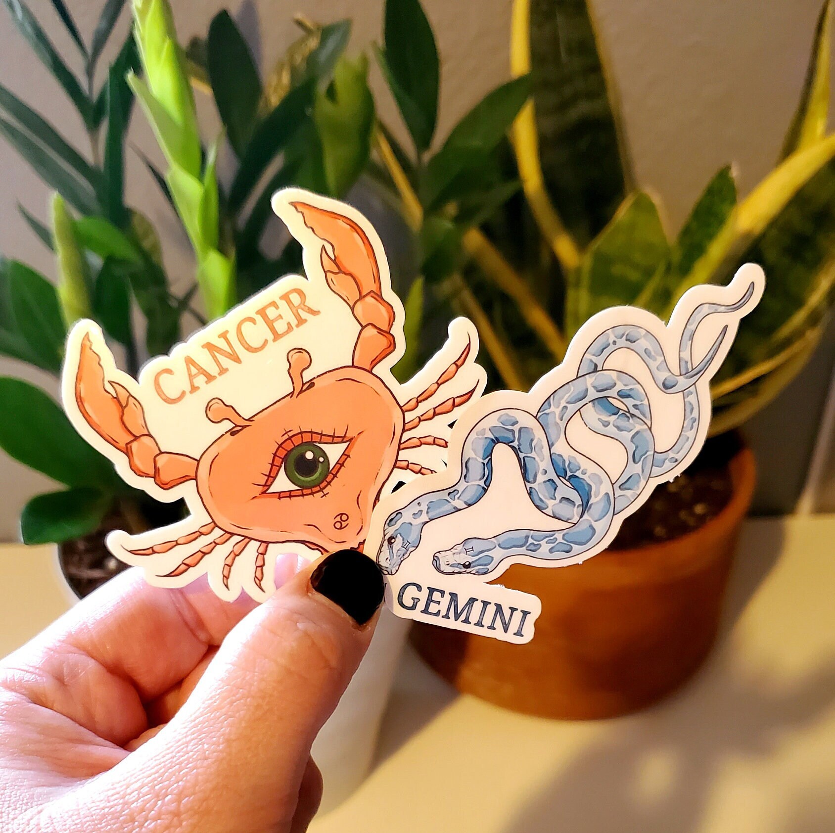 Zodiac Sign Sticker Zodiac Sticker Zodiac Zodiac Symbol Etsy