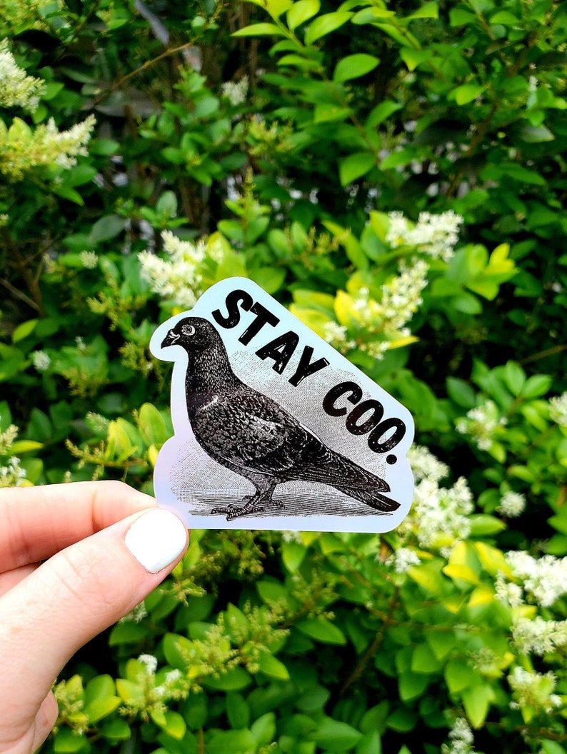 May include: A white sticker with a black and white illustration of a pigeon and the text "STAY COO."