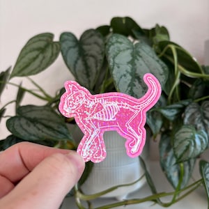 May include: Pink glitter cat skeleton sticker with a white outline. The sticker is on a clear background.