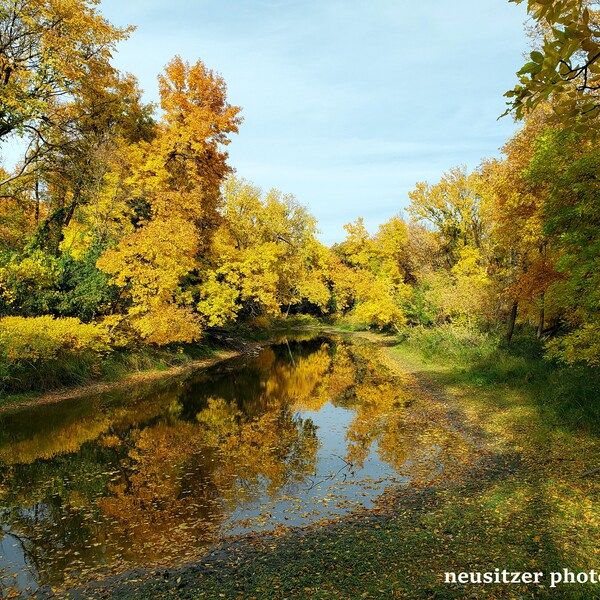 The Arrival of Autumn #1 - Photography Print