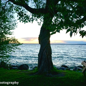 Lakeside Life - Photography Print